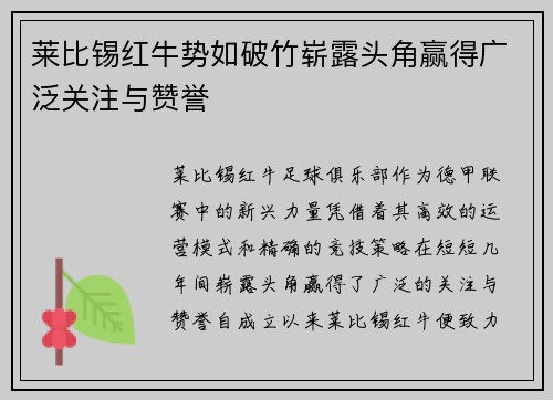 莱比锡红牛势如破竹崭露头角赢得广泛关注与赞誉