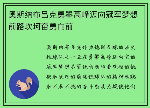 奥斯纳布吕克勇攀高峰迈向冠军梦想前路坎坷奋勇向前